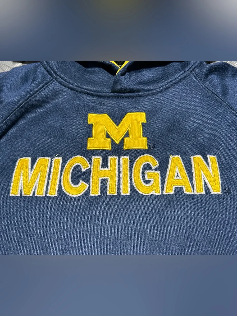 Colosseum Kids Michigan Wolverines Hoodie